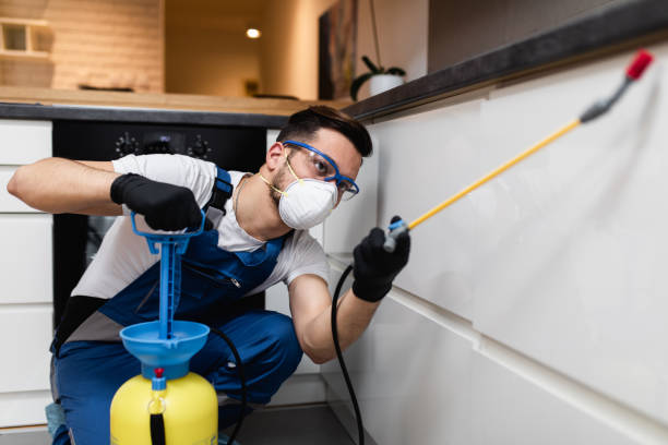 Best Bed Bug Extermination  in Fairfield, AL