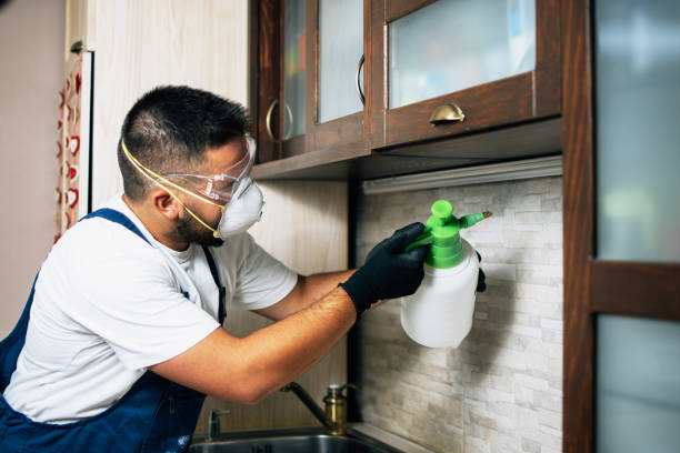 Best Termite Control Services  in Fairfield, AL