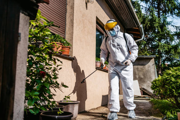 Wasp Removal Services in Fairfield, AL