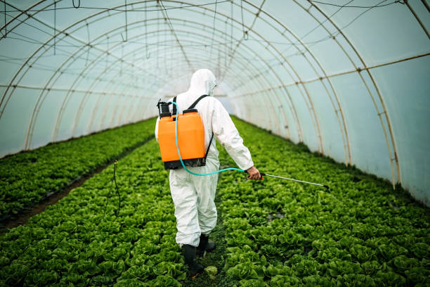Best Pest Control Cost  in Fairfield, AL