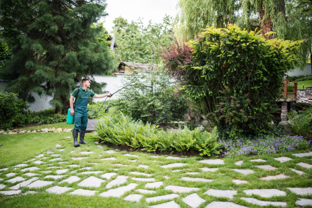 Best Pest Control for Homes  in Fairfield, AL
