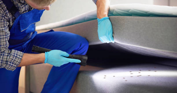 Best Pest Control for Homes  in Fairfield, AL
