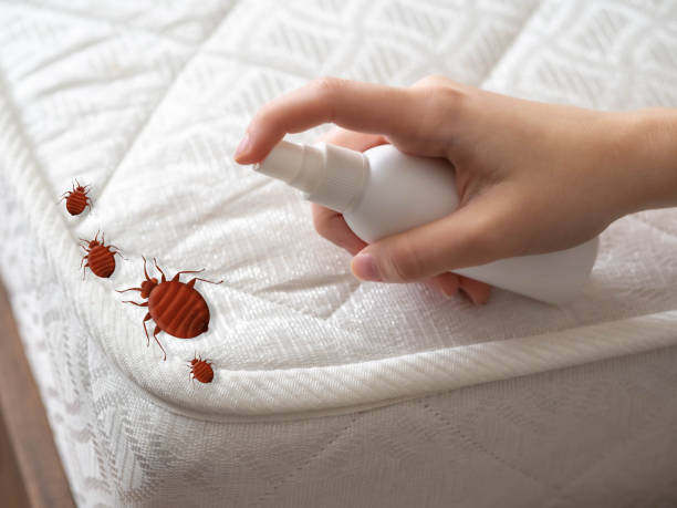 Best Local Pest Control Services  in Fairfield, AL