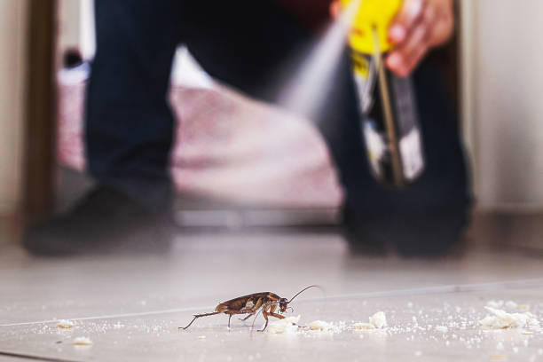 Best Best Pest Control Companies  in Fairfield, AL