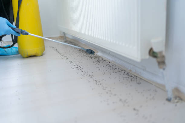 Best Pest Inspection Near Me  in Fairfield, AL