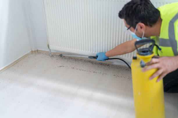 Best Exterminator Services  in Fairfield, AL