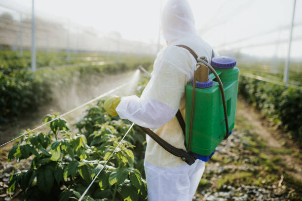 Best Wildlife Control Services  in Fairfield, AL